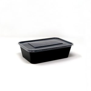 650ml Rectangle Container