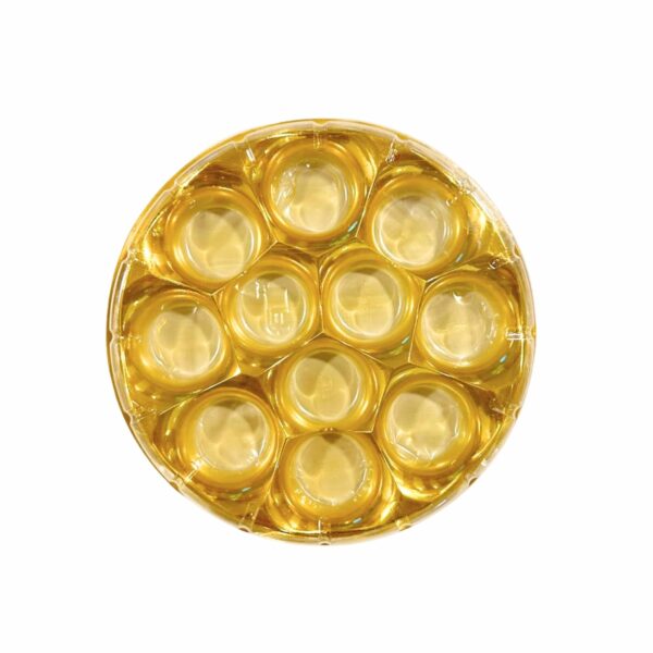 Round Gold Modak Box with Transparent Lid - 11 Cavities