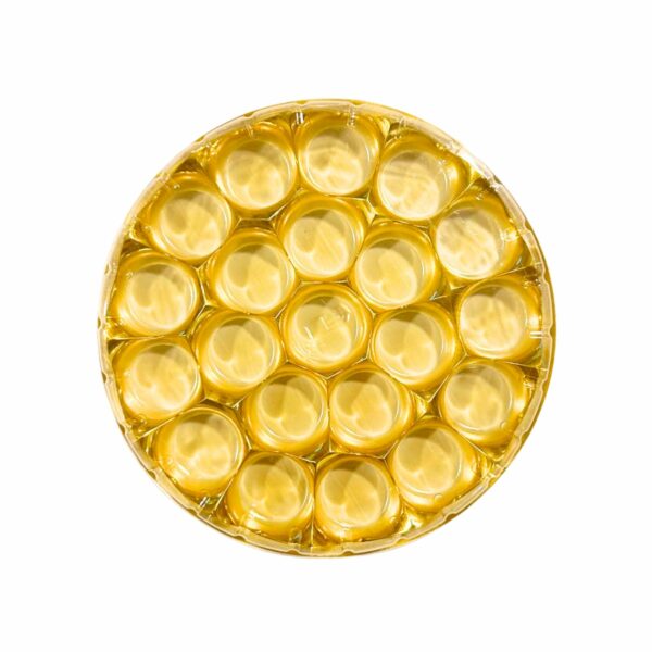 Round Gold Modak Box with Transparent Lid - 21 Cavities