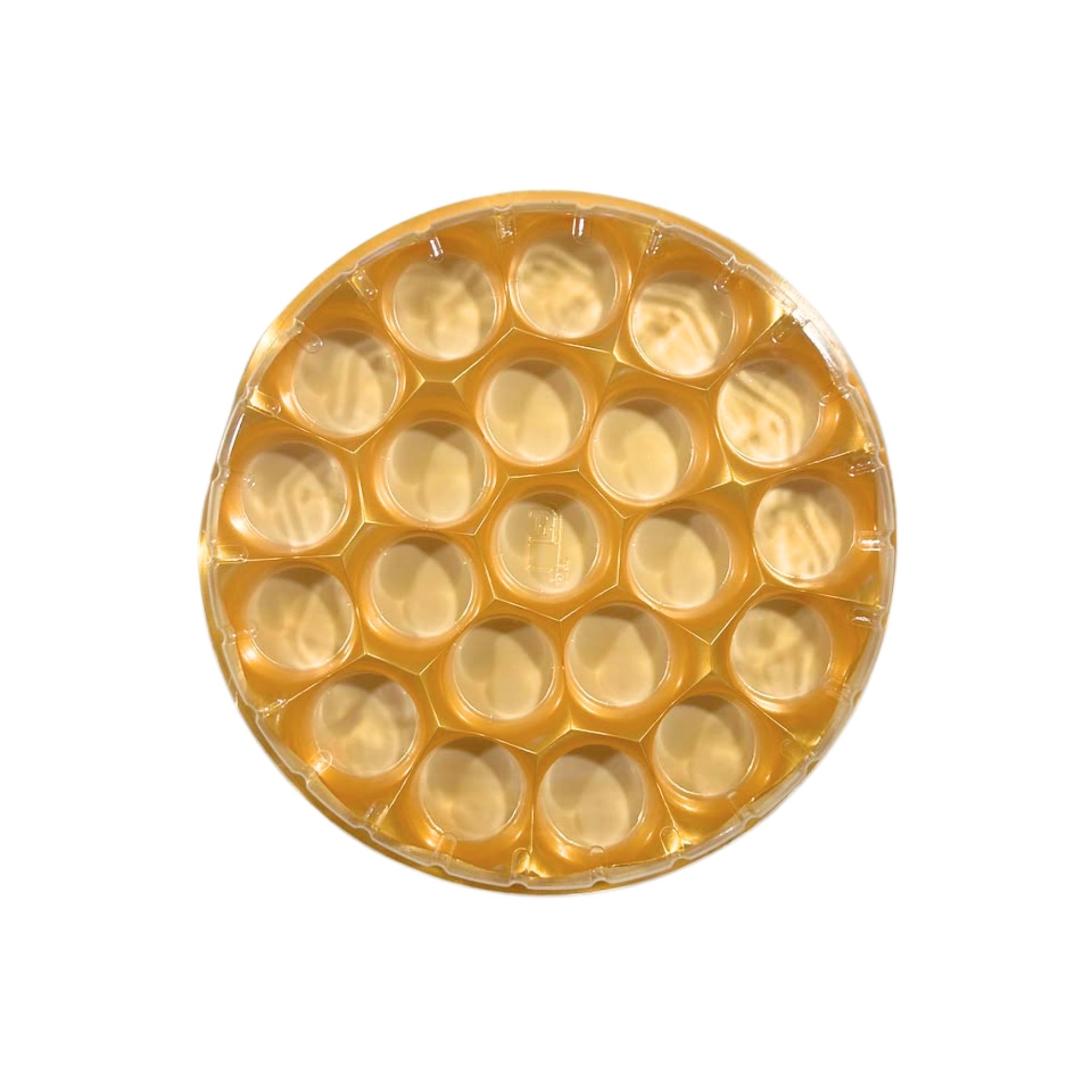 Round Pearlised Modak Box with Transparent Lid - 21 Cavities